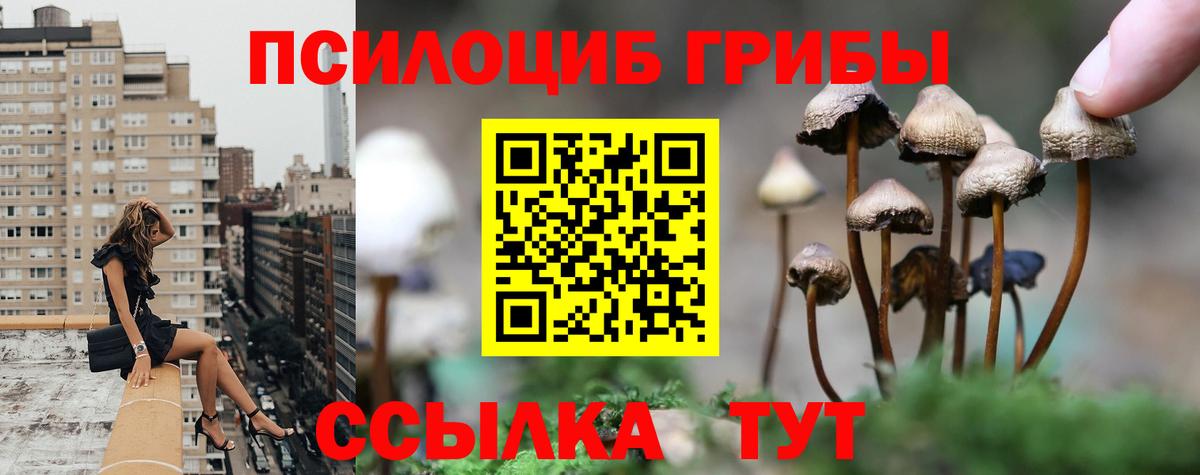 Псилоцибиновые грибы ЛСД  Вход с VPN  Волжск 
